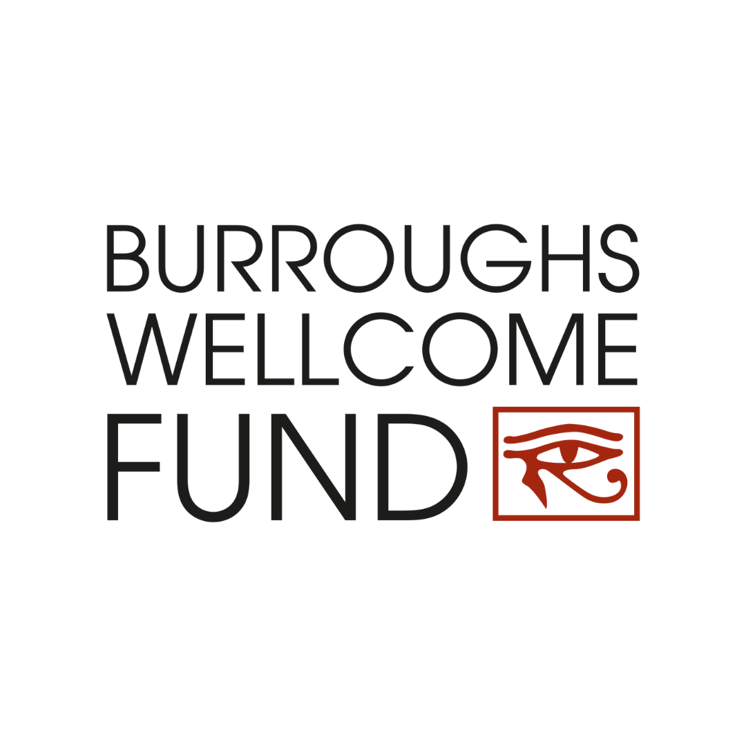 Burroughs Wellcome Fund Career Award for Medical Scientist supports Physiologic Regeneration