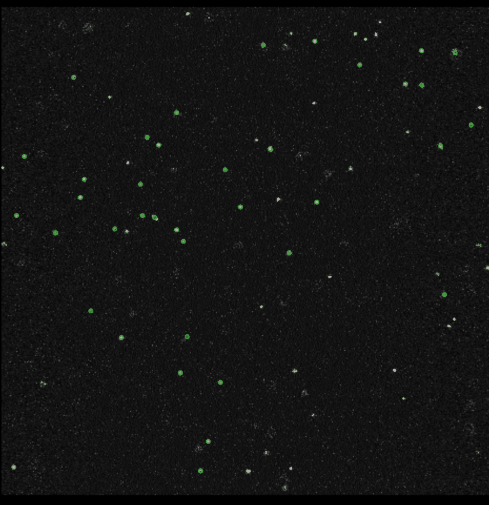 Do Hillocks Restore Surface Physiology